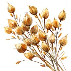 Canvas Print - Watercolor Painting of Dried Golden Flowers and Plants on White Background.