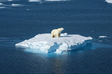 a lone polar bear on a shrinking iceberg, emphasizing the effects of climate change.