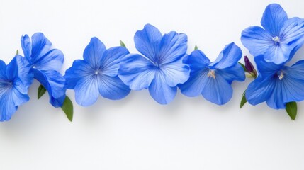 Aufkleber - Bright blue flowers are arranged harmoniously against a crisp white background, highlighting their vivid color and graceful shapes