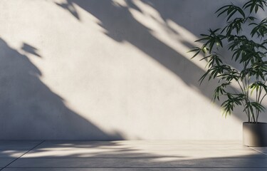 Aufkleber - Minimalist room interior with plant, sunlight, and shadow on a neutral wall.