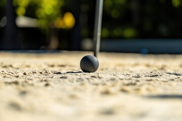 Wall Mural - Close-up of a dark grey ball resting on sandy ground outdoors.