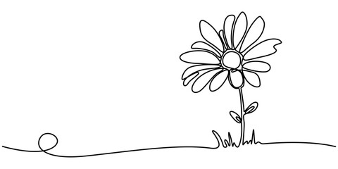 Canvas Print - One continuous line drawing. Printable decorative poster common daisy flower concept chamomile, Daisy flower in continuous line art drawing style. Chamomile One line drawing art. Minimalist black line