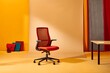 © Roushon - picture of an ergonomic chair in the middle