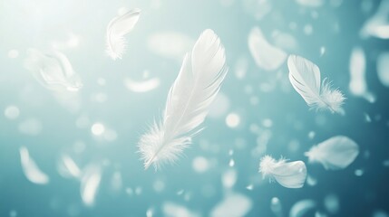 Aufkleber - Ethereal white feathers floating gracefully in a serene blue background.