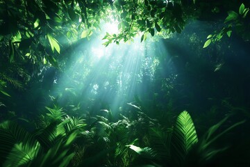 Poster - A foggy morning in a lush rainforest with sunlight breaking through the mist