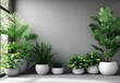 © Diki prayoga - Grey wall background with various potted green plants