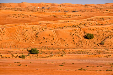 Wall Mural - Oman. Wahiba Desert. Golden sand dunes. Summer travel and tourism