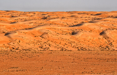 Wall Mural - Oman. Wahiba Desert. Golden sand dunes. Summer travel and tourism