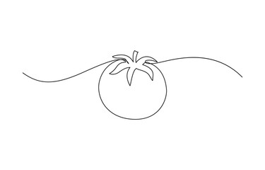 Wall Mural - Continuous one line tomato for grocery store, Tomato in continuous line art drawing style. Ripe tomato fruit black linear sketch isolated, Single one line drawing half sliced healthy organic tomato.