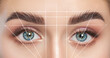 © Dimid - Permanent make-up for eyebrows of beautiful woman in beauty salon. Closeup beautician doing eyebrows tattooing. Collage before and after the procedure.