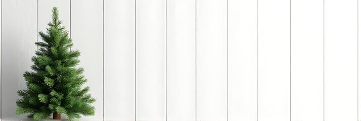 Wall Mural - a christmas fir tree decorated with a pine branch on a plain white wooden backdrop for festive holid