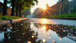 © Galeno - raindrops create calm reflection wet pavement nearby trees bright sunny sky fence