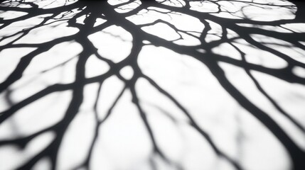 Poster - detailed, high-contrast black and white photo of a tree's intricate shadow cast on a bright surface