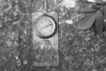 Wall Mural - classic navigation compass on natural background