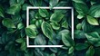 © MahmudulHassan - Creative layout made of mint leaves. Flat lay, top view. Nature concept