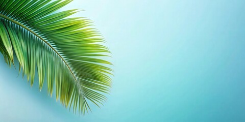 Leinwandbilder - A single palm frond against a pastel blue background, a minimalist tropical backdrop