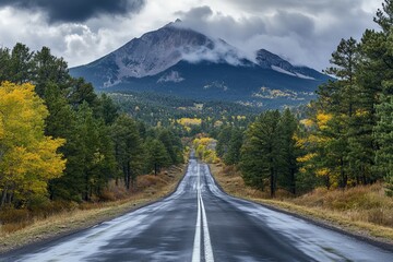 Wall Mural - Scenic mountain road framed by trees under a cloudy sky with distant peak view ahead