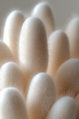 Canvas Print - Clusters of delicate white mushrooms emerging from a light background in a soft and serene setting illustrating nature's beauty and complexity