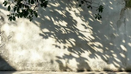 Poster - Sunlight filtering through tree branches creates an intricate pattern of shadows on a textured wall
