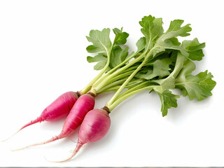 Wall Mural - bunch of radishes isolated