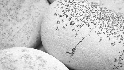 Aufkleber - Round  gray textured pebbles as a background for a template or web banner