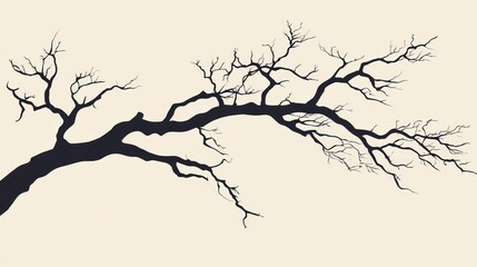 Poster - Silhouette Of A Barren Tree Branch Against A Light Background