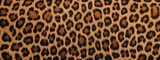 Background with texture of the leopard fur.