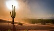 © 순단 강 - 뜨거운 태양 아래, 거센 모래바람 속에서 홀로 서 있는 선인장 한 그루