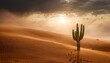 © 순단 강 - 뜨거운 태양 아래, 거센 모래바람 속에서 홀로 서 있는 선인장 한 그루