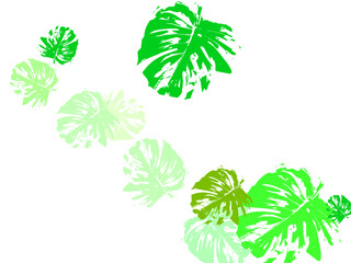 Wall Mural - vector set of leaves