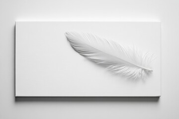 Sticker - Monochromatic Feather Art: A Minimalist Masterpiece