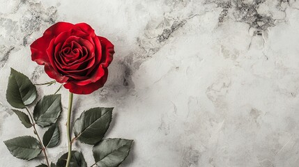 Canvas Print - Single red rose on marble background.