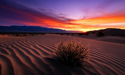 Wall Mural - Vibrant sunset over desert dunes with a solitary plant.