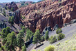 © Dennis - Red Mountain Trail in the Coconino National Forest near Flagstaff, Arizona.