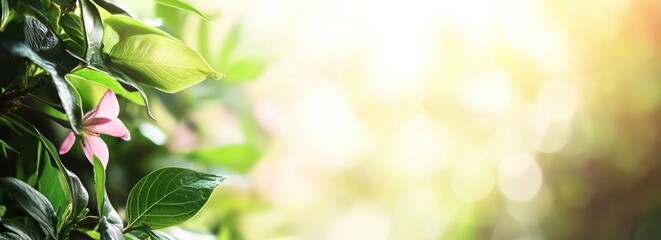 Poster - Pink flower with green leaves, bright light.