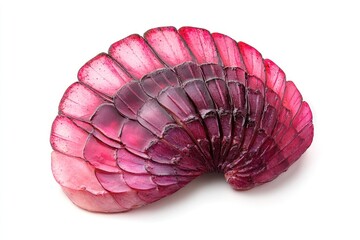 Aufkleber - Pink scale fan structure on white background.