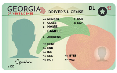 Georgia driver's license. Person driver license. Man picture silhouette driver's license isolated on white background