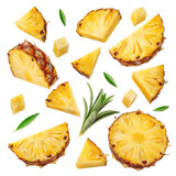 pineapple slices isolated on white background