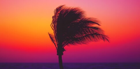 Aufkleber - A silhouette of a palm tree against a vibrant sunset sky over the ocean.