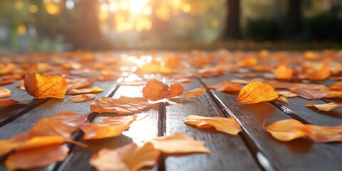 Poster - A serene autumn scene with orange leaves scattered on a wooden surface, illuminated by sunlight.
