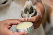 © godji10 - Close-up of hands applying paw balm to moisturize and protect a dog's pads from dryness and cracks. A person gently applies soothing balm to a dog's paw for hydration and care.