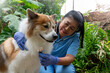 © godji10 - Close-up of a veterinarian checking a healthy Thai Bangkaew dog with a stethoscope surrounded by greenery. Female Vet Checking Dog’s Heartbeat in a Garden Setting