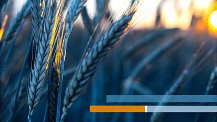 Wall Mural - Macro Shot of Wheat Stalks Illuminated by Golden Sunlight Highlighting Sustainable Grain Production - Stock Photo