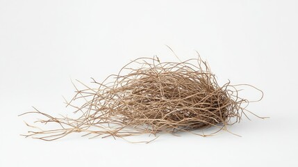 Poster - Organic and Natural Dried Grass Bundle Isolated on White Background Showcasing Texture and Airiness for Nature, Craft, or Decoration Themes in Photography Projects