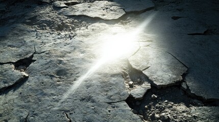 Poster - Cracked Earth Surface with Beautiful Light Reflection Creating a Striking Visual of Nature's Resilience and Fragility in an Arid Landscape