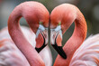 © Sascha - Two flamingos are standing close to each other, their heads and necks forming a heart shape. Concept of love and affection between the two birds