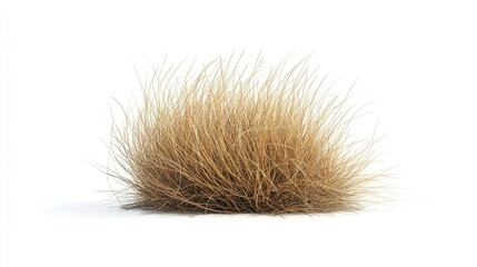 Poster - Close-Up View of a Textured Bunch of Dry Grass Isolated on a White Background Ideal for Nature, Landscape, or Textural Imagery in Stock Photography
