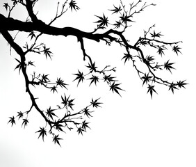 Wall Mural - maple tree branch silhouette, vector illustration, white background