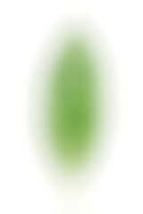 Aufkleber - A simple flat lay composition features a single green leaf against a white background in top view with natural simplicity._00001_