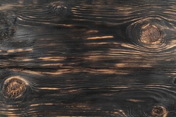 Poster - Charred blackened wood texture with rough patterns showcasing natural grain and knots